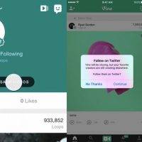 Vine