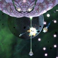 XENORAID (5)