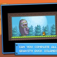 Gravity Ducks Islands (5)