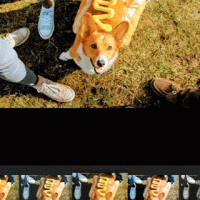 compare_480
