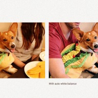 google photos
