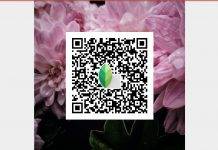 Snapseed update brings shareable looks, insight, auto perspective