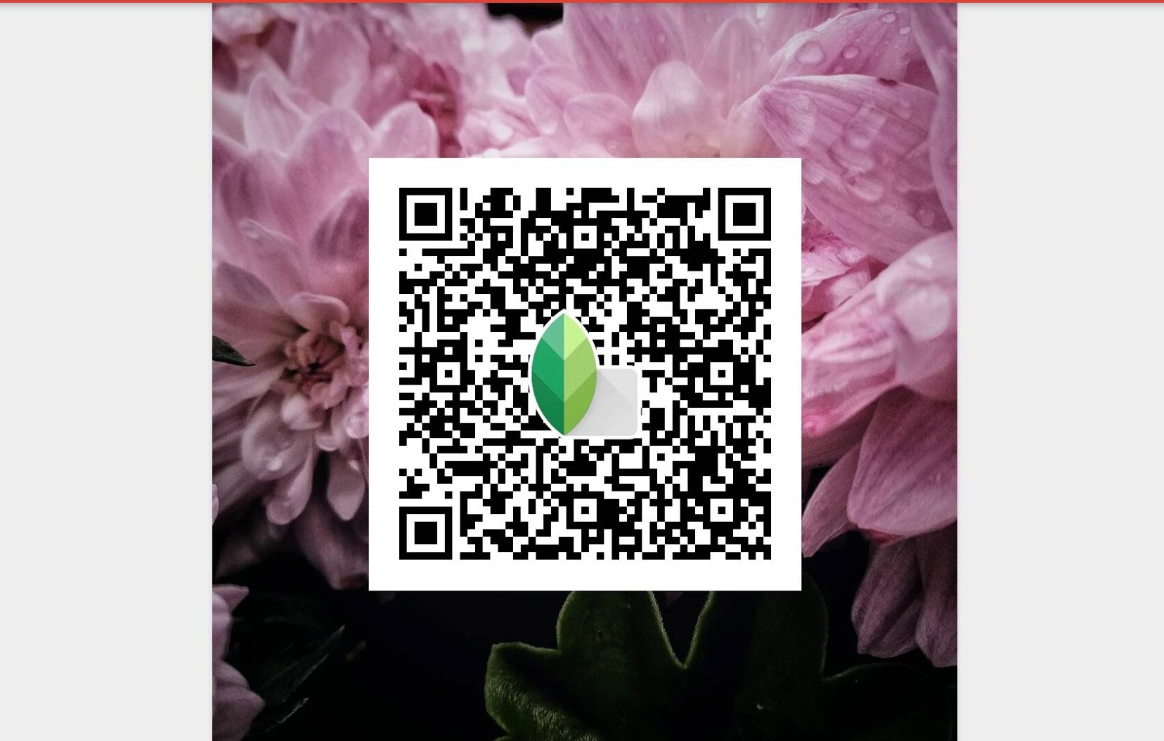 Snapseed update brings shareable looks, insight, auto perspective