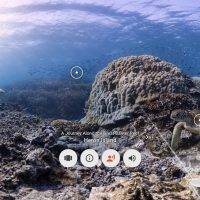 Google Expeditions Cover