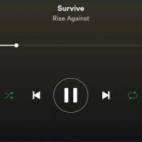 spotify auto