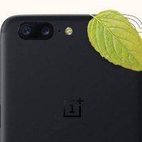 oneplus-5-mint-gold