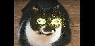 Samsung Galaxy Note 8 Live Messages