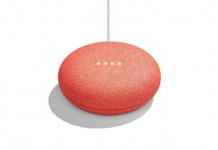 Google Home Mini Coral