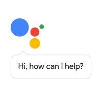 assistant