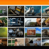 video_sort