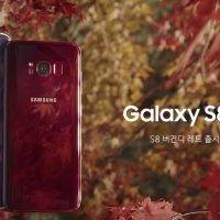 Samsung-Galaxy-S8-Burgundy-Red-1_0 (1)