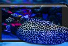 Energizer HARDCASE H550S debuts as a hardened handset