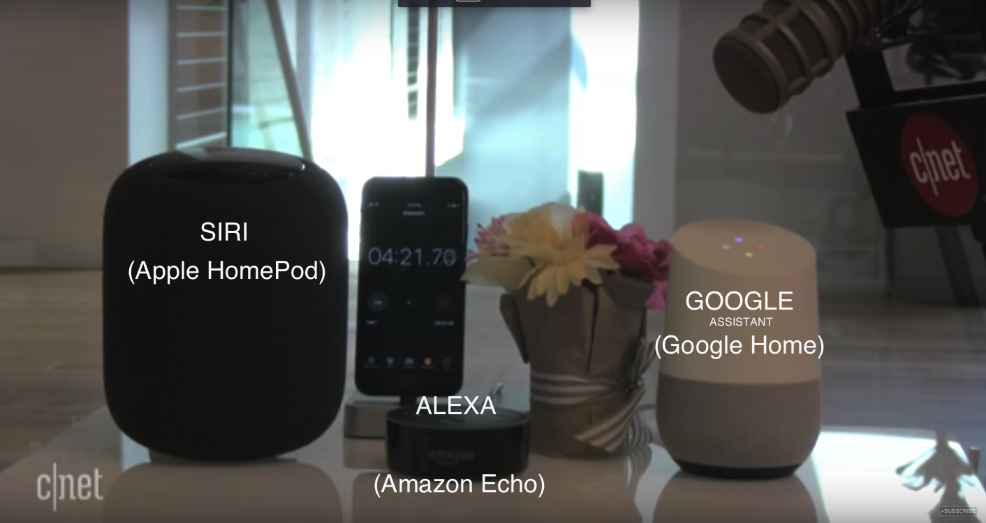 google home alexa loop