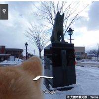 hachiko