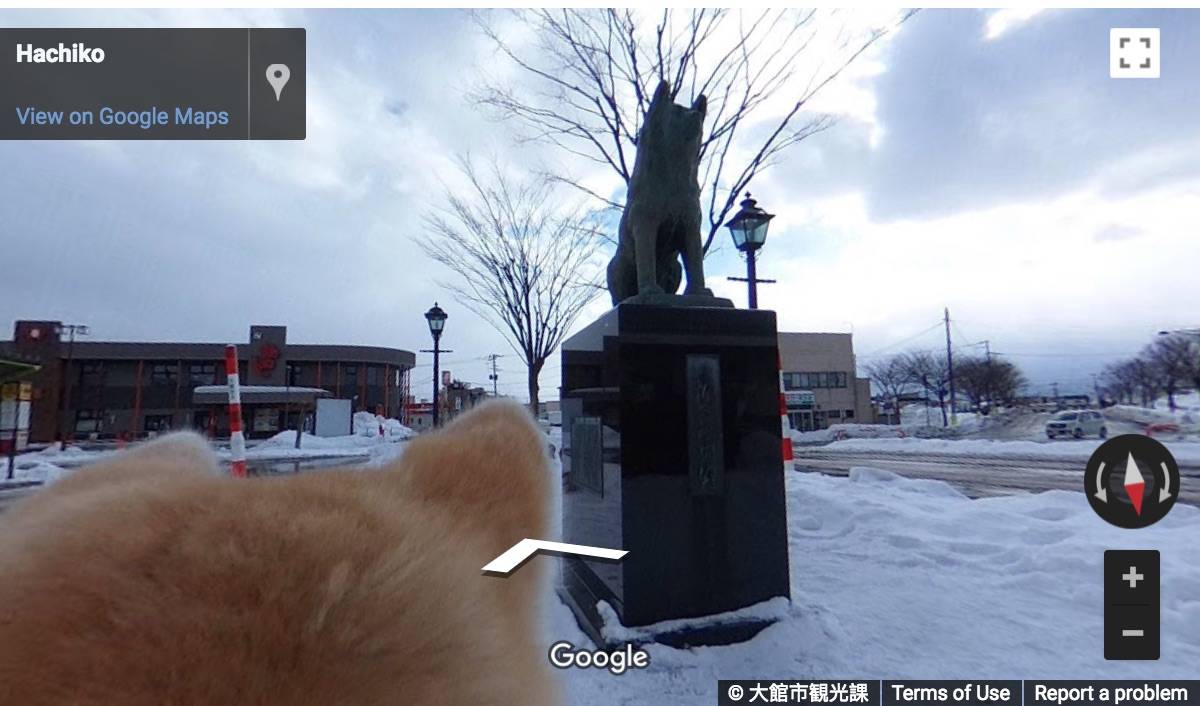 Akita dogs will take you on a Google Street View tour of Odate