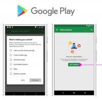 Google Play Subscriptions