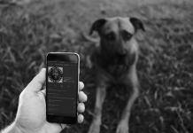 Plex takes Podcast features out of beta and into your ears