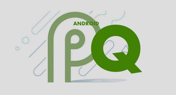 ANDROID Q 2019