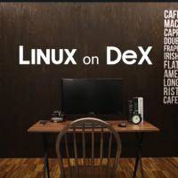 Linux on Dex