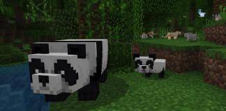 Minecraft Bedrock Edition