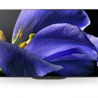 Sony A9G Premium OLED TV B