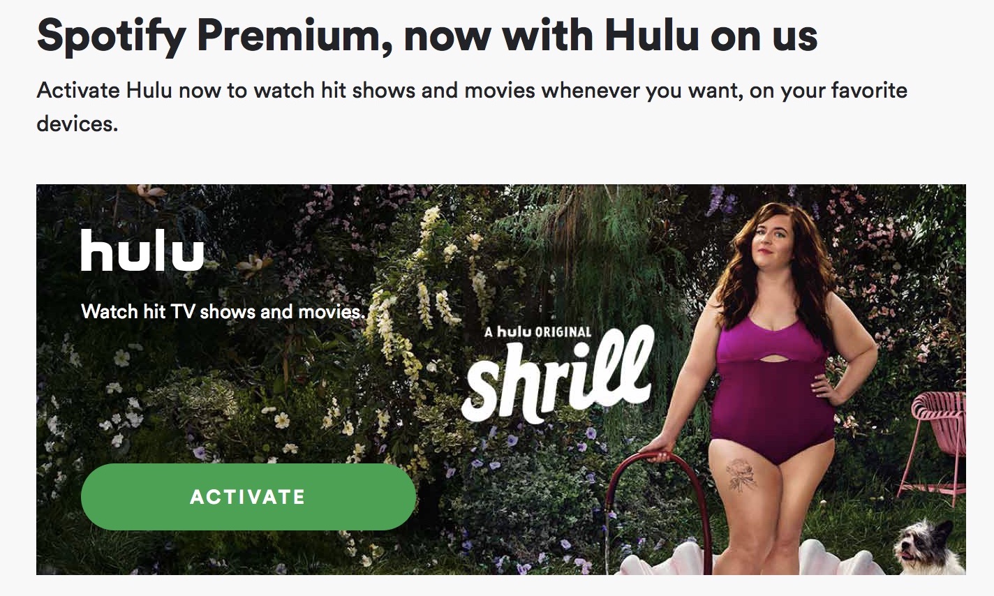 how much is spotify premium + hulu