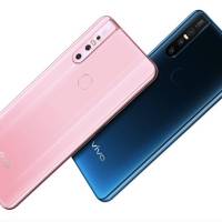 Vivo S1 Colors