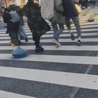 Dragon Quest Walk 1