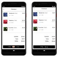 Google Pay Online Payments and Passes APIs A