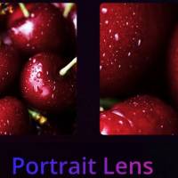 Realme 5 Series Portrait Lens