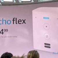 Amazon Echo Flex Price