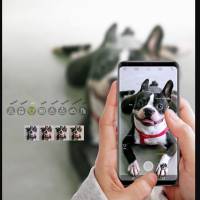 LG V30 Software Update 2019