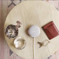 nest mini 1