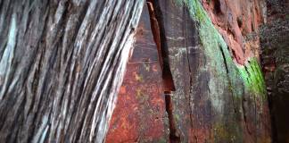 Qualcomm Snapdragon 865G 8K Video 8K Photo