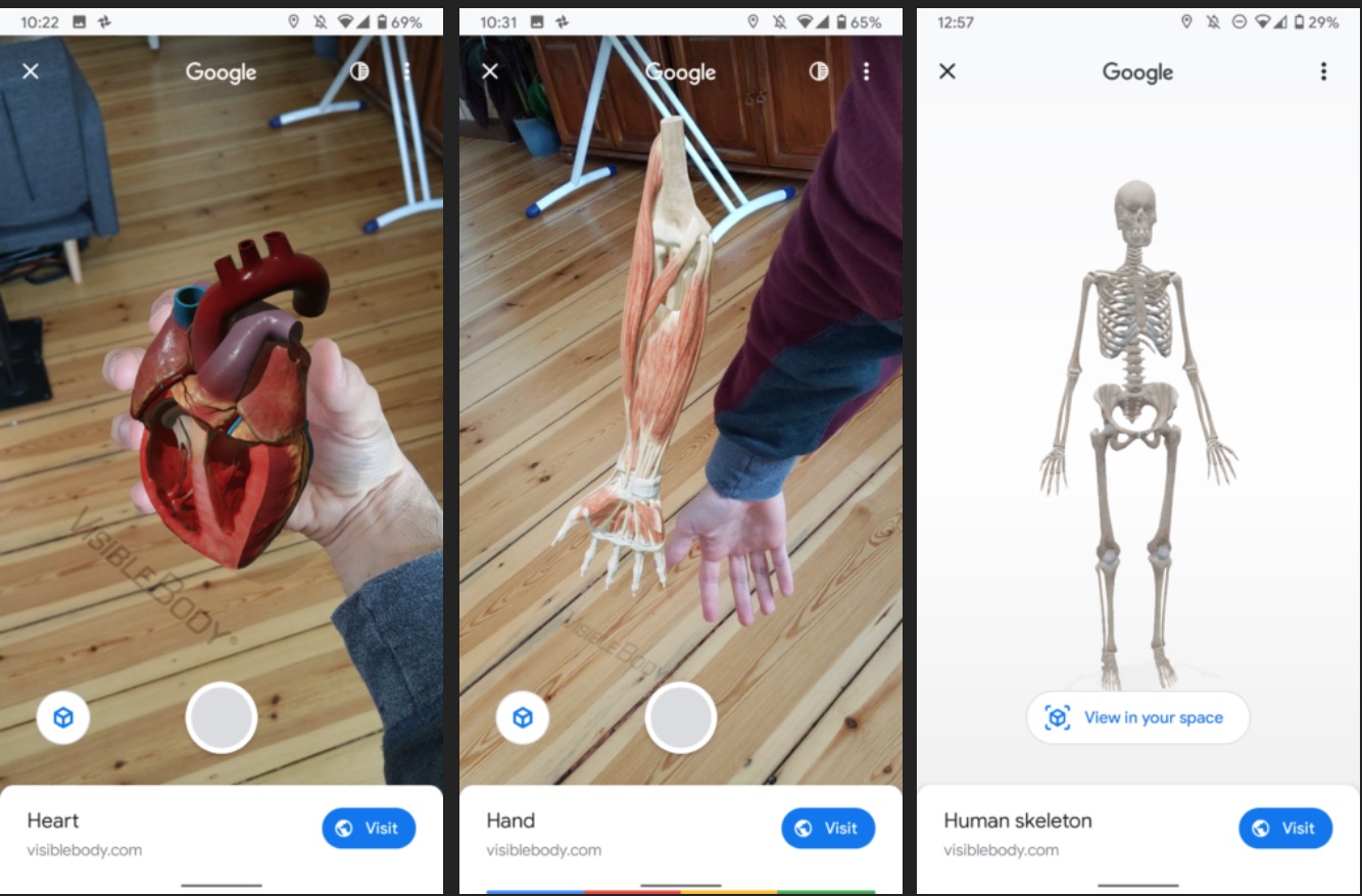Google Search brings some more augmented reality objects - Android Community