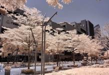 OnePlus 8 Pro color filter camera