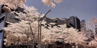 OnePlus 8 Pro color filter camera