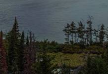 Samsung Wallpaper Crash Solution