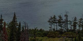 Samsung Wallpaper Crash Solution