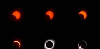 Samsung Galaxy S10+ camera photos