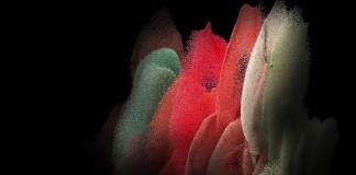 Samsung Galaxy S21 Wallpapers