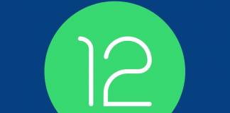 Android 12 Developer Preview 1