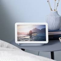 Google Nest Hub Market