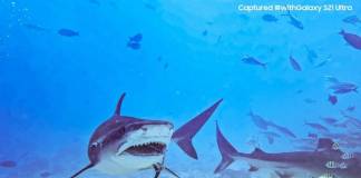 Samsung Galaxy S21 Ultra 5G Underwater Camera