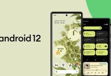 Android 12 Official Launch