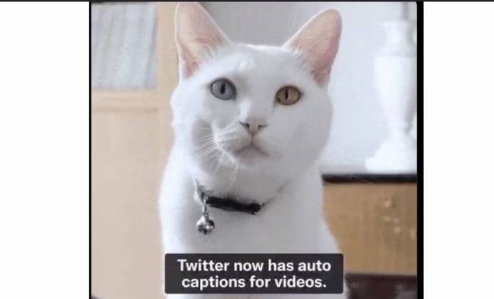 twitter-improves-accessibility-by-adding-video-auto-generated-captions